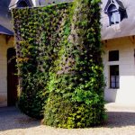 «Зеленая спираль». Проект Патрика Блана в имении Шомон-на-Луаре