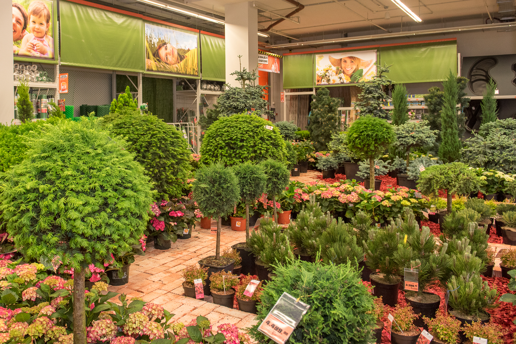 Где Купить Растения В Екатеринбурге